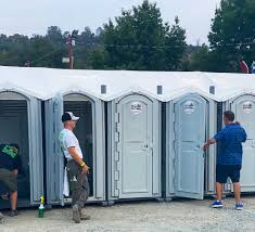 Best Eco-Friendly Portable Toilets  in Cambridge, IL